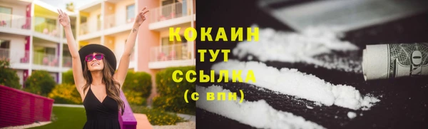 шишки Приозерск