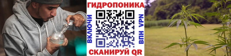 Канабис THC 21% Первомайск